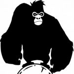 Profilbild von Matthias Leimküller