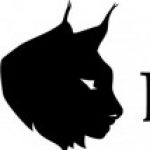 Profilbild von Marko Buisman