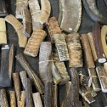 Profilbild von Ingo Jägel